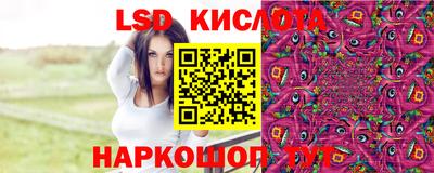 меф Кингисепп