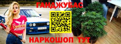 стаф Кимры