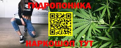 стаф Кимры