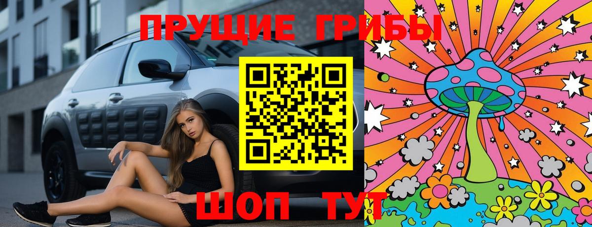 Псилоцибиновые грибы мухоморы Заинск